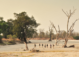 Normann Carr Safaris - South Luangwa